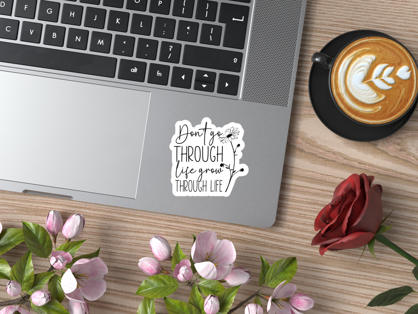 Don't Grow Through Life Sticker