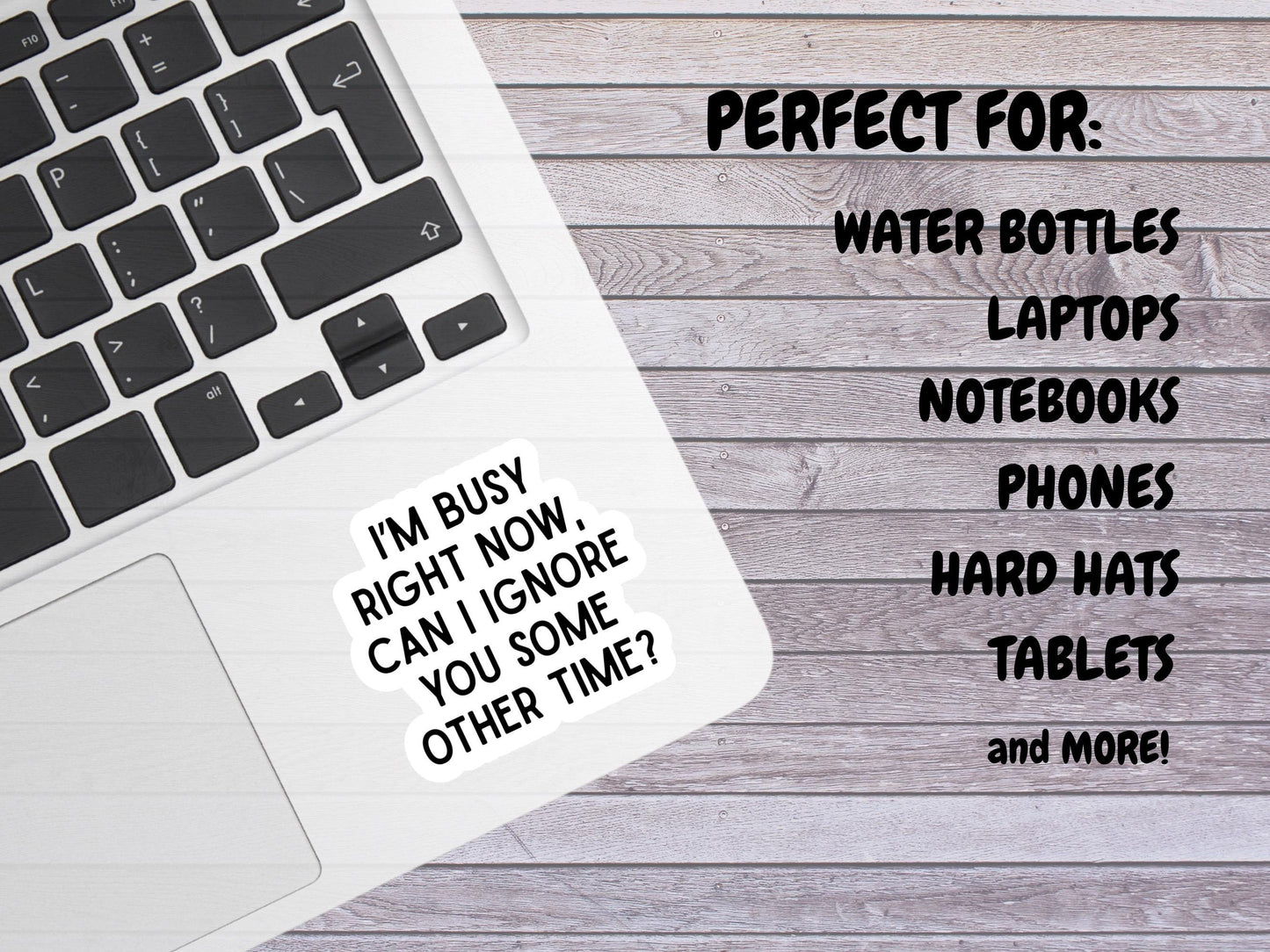 I'm Busy Right Now, Can I Ignore You Some Other Time Sticker