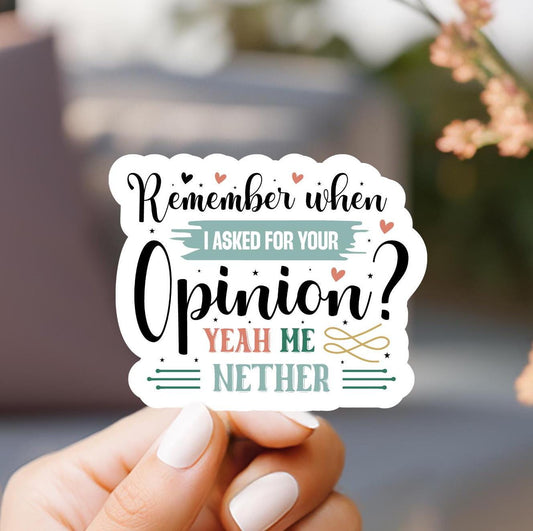 Funny Sarcastic Sticker: Remember When I Asked For Your Help - Water Resistant Vinyl