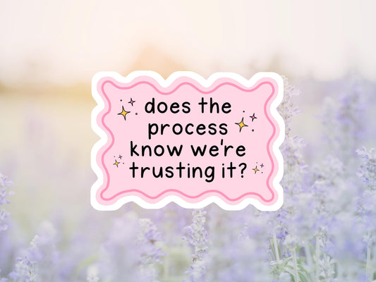 Does The Process Know We're Trusting It Sticker