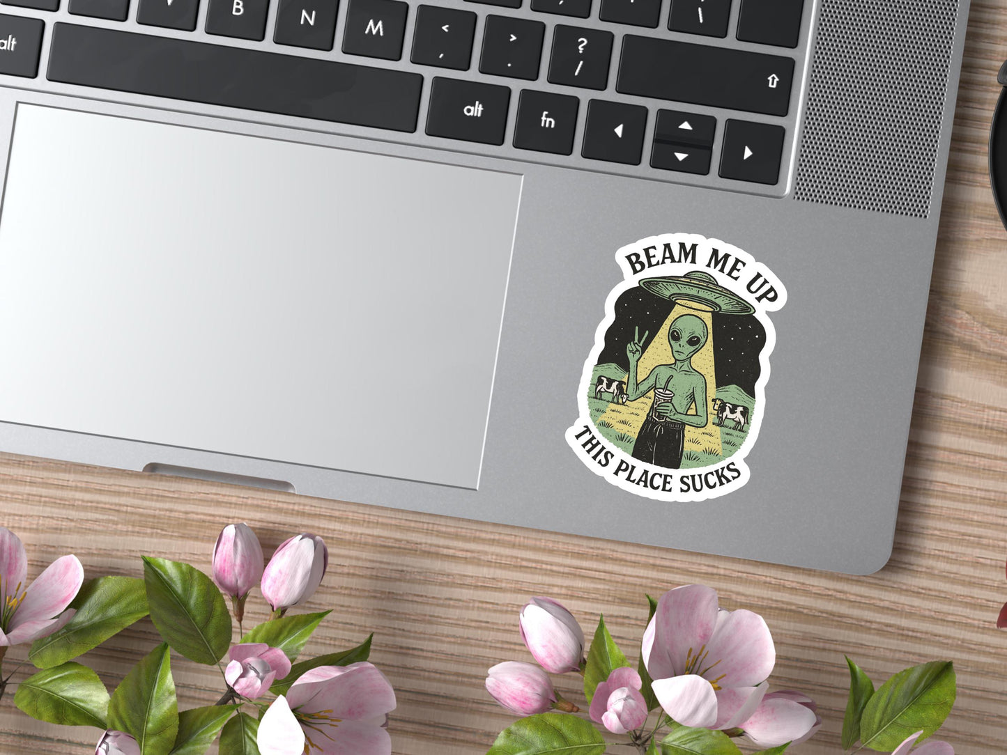 Beam Me Up This Place Sucks Alien Sticker