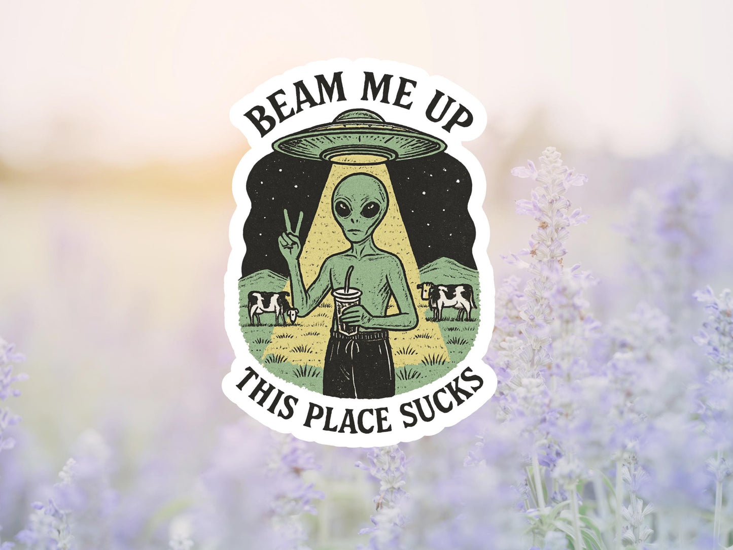 Beam Me Up This Place Sucks Alien Sticker