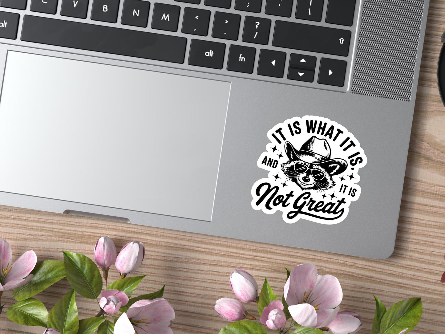 It Is What It Is And It's Not Great Raccoon Sticker