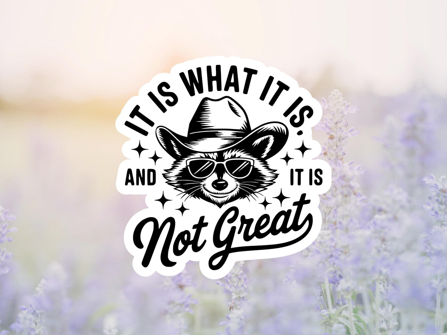 It Is What It Is And It's Not Great Raccoon Sticker