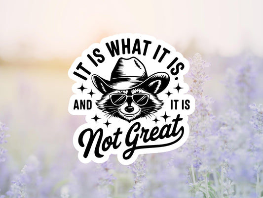 It Is What It Is And It's Not Great Raccoon Sticker