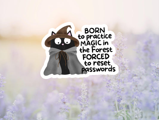 Born To Practice Magic In The Forest Black Cat Sticker