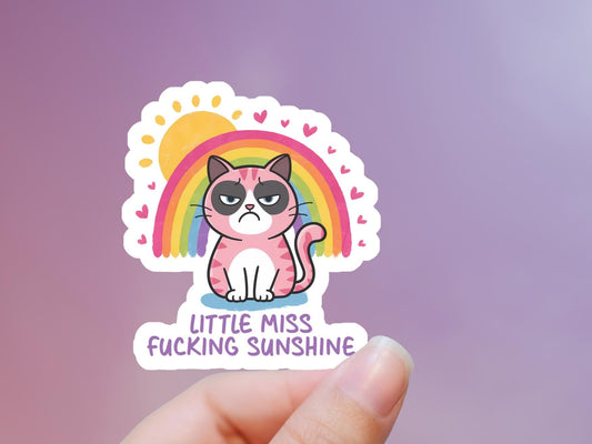 Little Miss Fucking Sunshine Cat & Rainbow Sticker