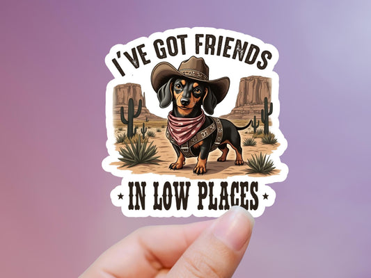 Funny Weiner Dog I've Got Friends In Low Places Sticker