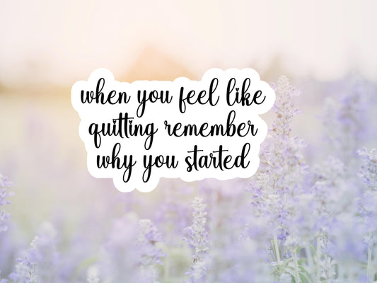 When You Feel Like Quitting Remember Why You Started Sticker
