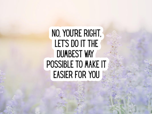 No You're Right Let's Do It The Dumbest Way Possible To Make It Easier For You Sticker