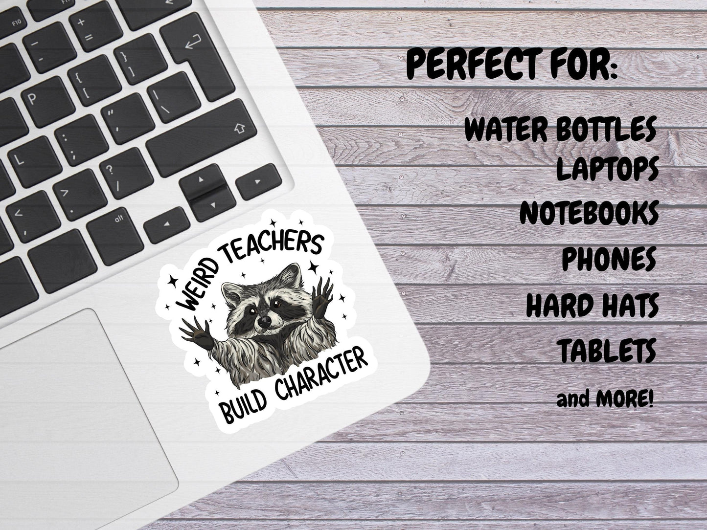 Weird Teachers Build Character Raccoon Sticker
