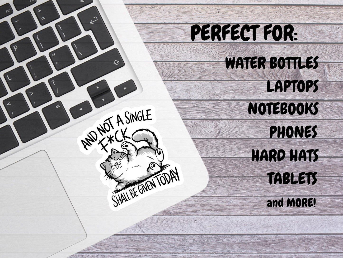 And Not A Single F*ck Shall Be Given Today Cat Sticker