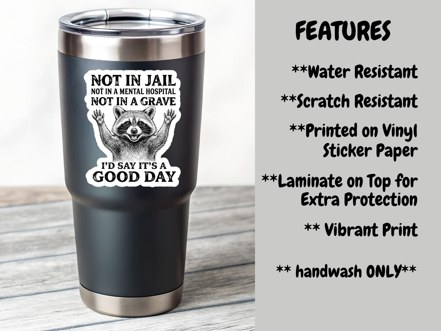 Not In Jail, Not In A Mental Hospital, Not In A Grave Raccoon Sticker