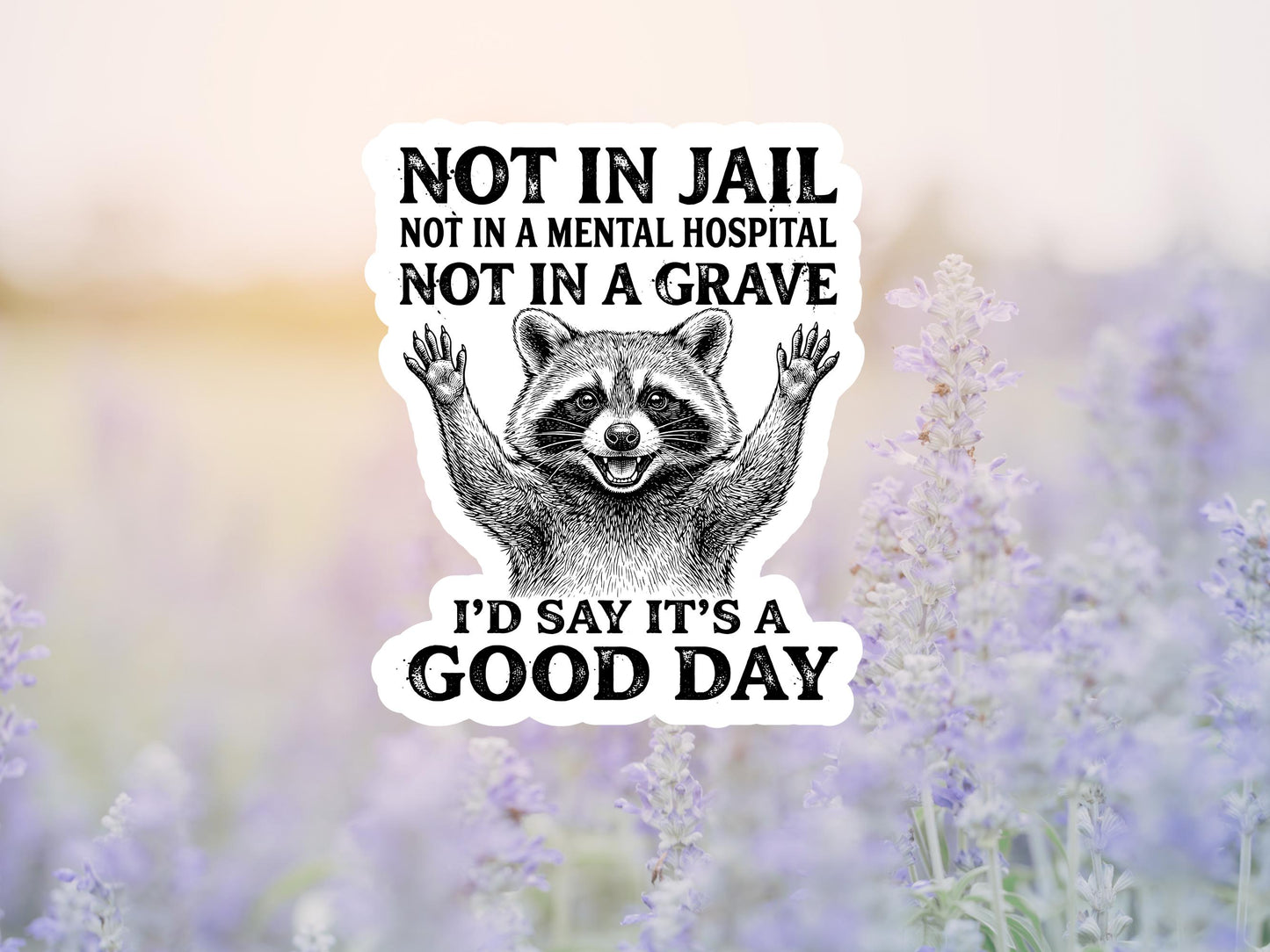 Not In Jail, Not In A Mental Hospital, Not In A Grave Raccoon Sticker