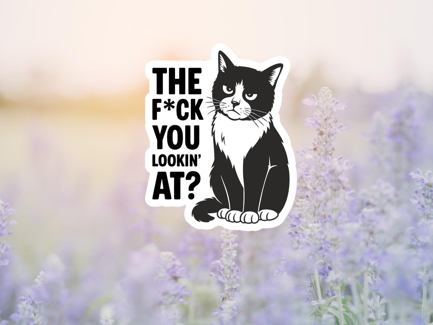 The F*ck You Lookin' At? Black Cat Sticker