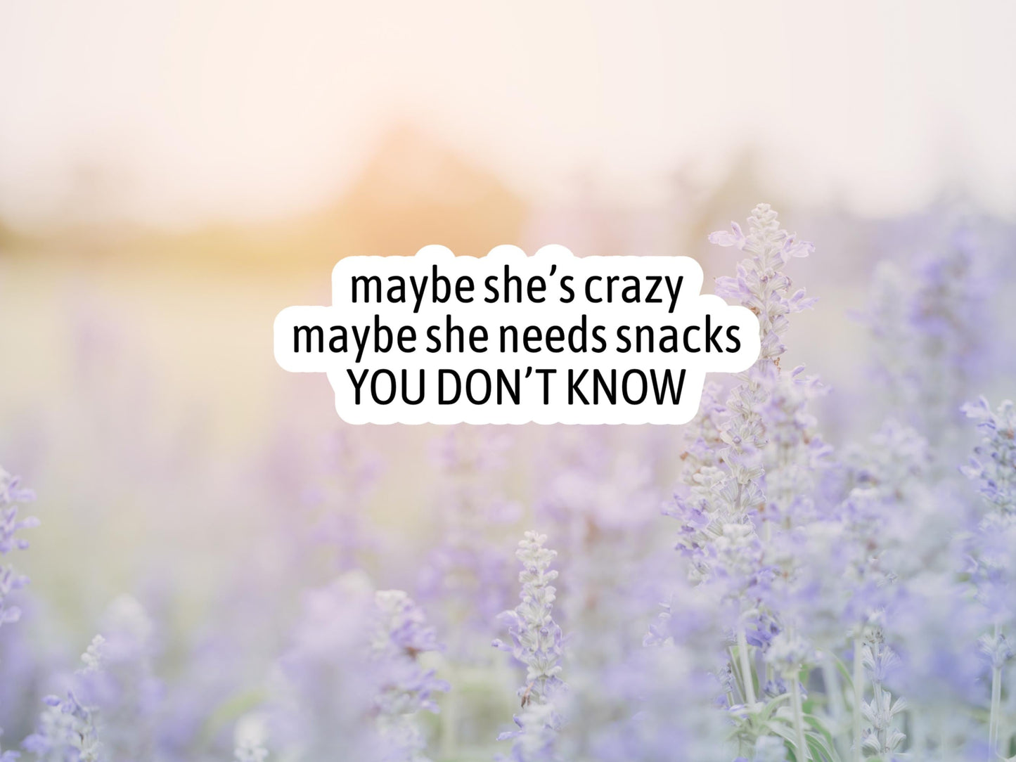 Maybe She's Crazy Maybe She Needs Snacks You Don't Know Sticker