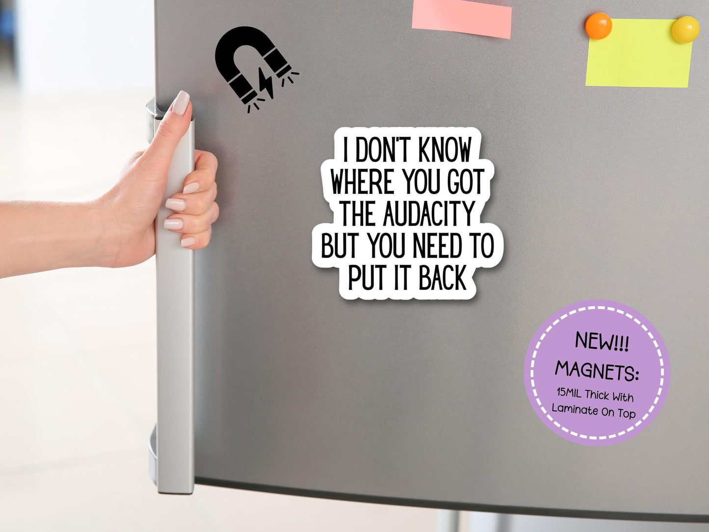 I Don't Know Where You Got The Audacity Magnet