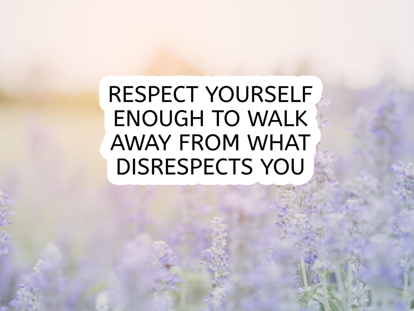 Respect Yourself Enough To Walk Away From What Disrespects You Sticker