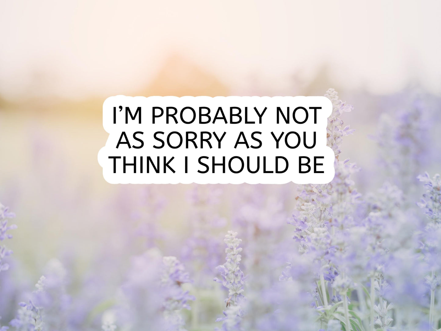 I'm Probably Not As Sorry As You Think I Should Be Sticker