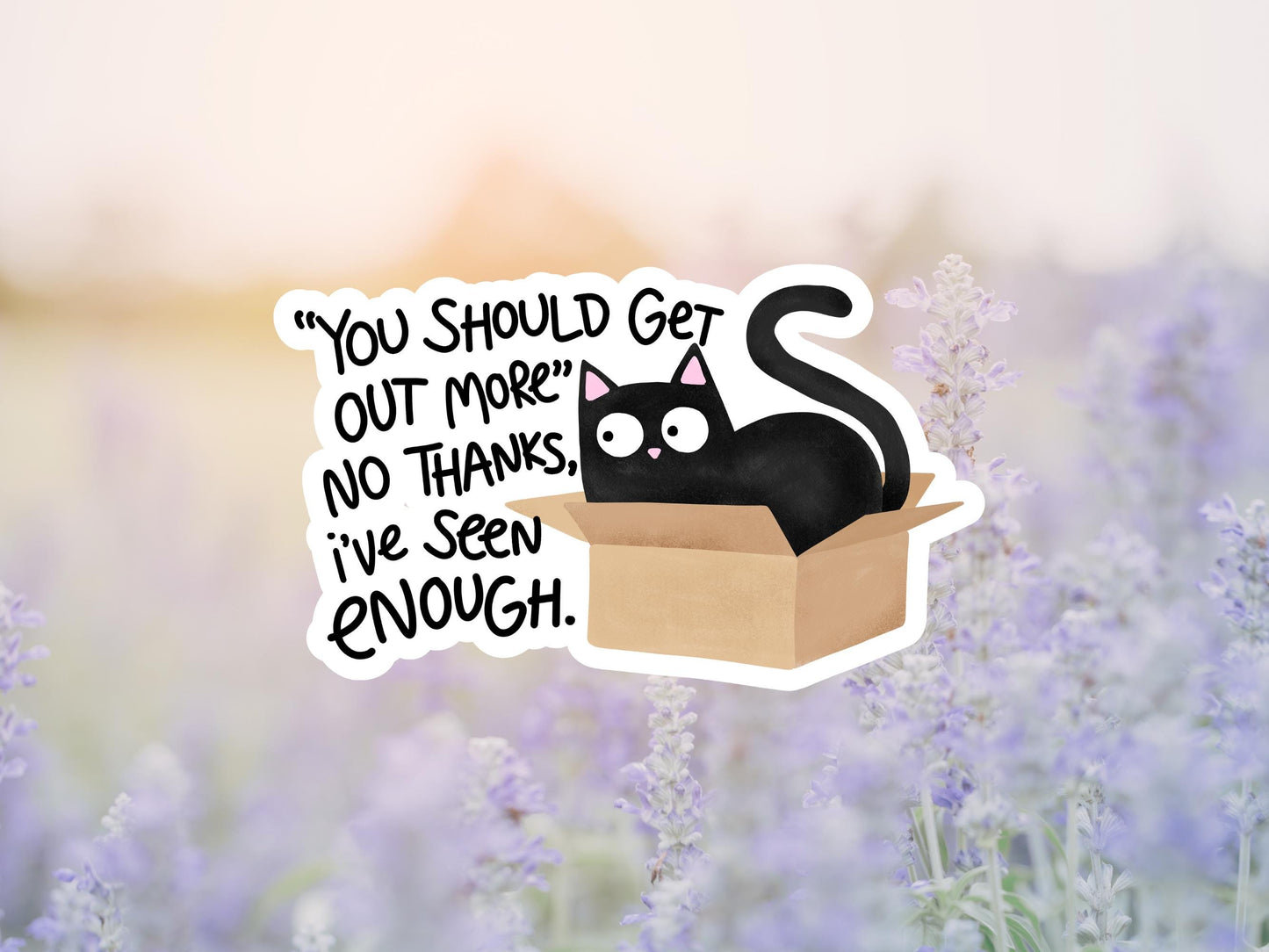 You Should Get Out More No Thanks I've Seen Enough Cat Sticker